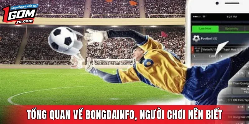 Tổng quan về Bongdainfo, người chơi nên biết